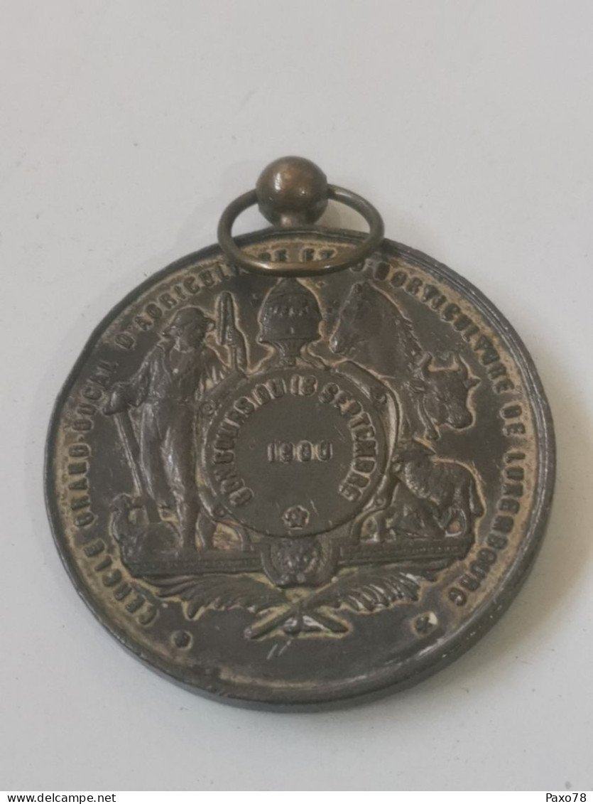 Luxembourg Médaille, Cercle Grand Ducal D'agriculture Et Horticulture De Luxembourg 1900 - Sonstige & Ohne Zuordnung