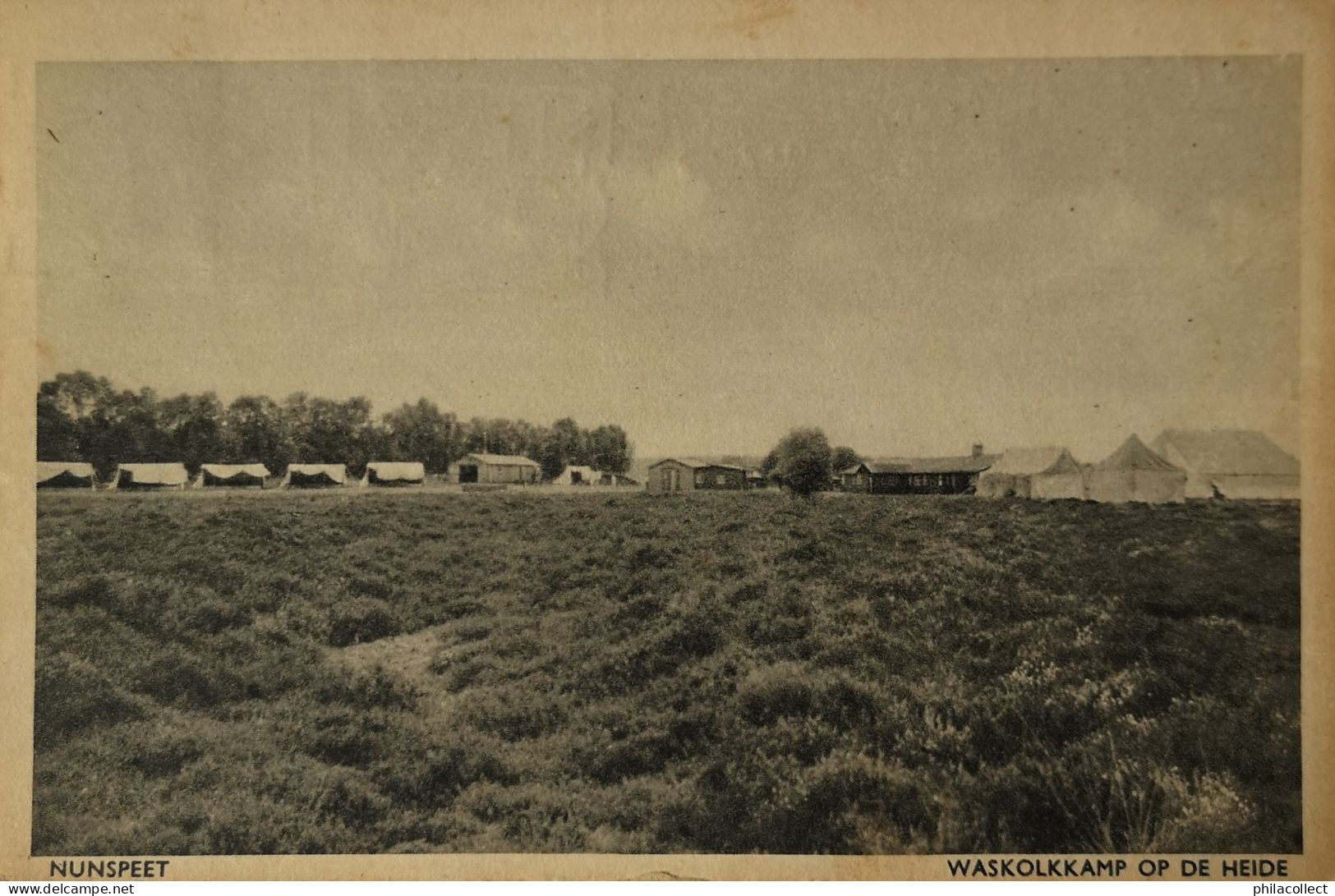 Nunspeet // Waskolkkamp Op De Heide 1947 - Nunspeet