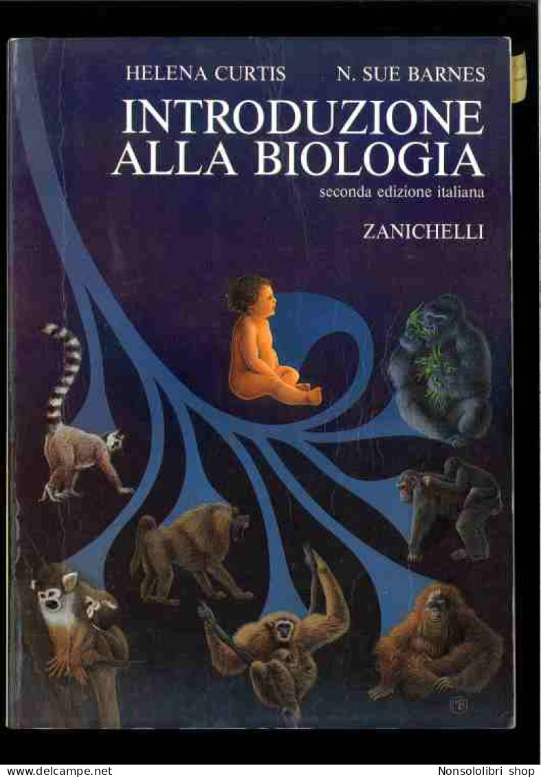 Introduzione Alla Biologia Di Curtis - Sue Barnes - Otros & Sin Clasificación