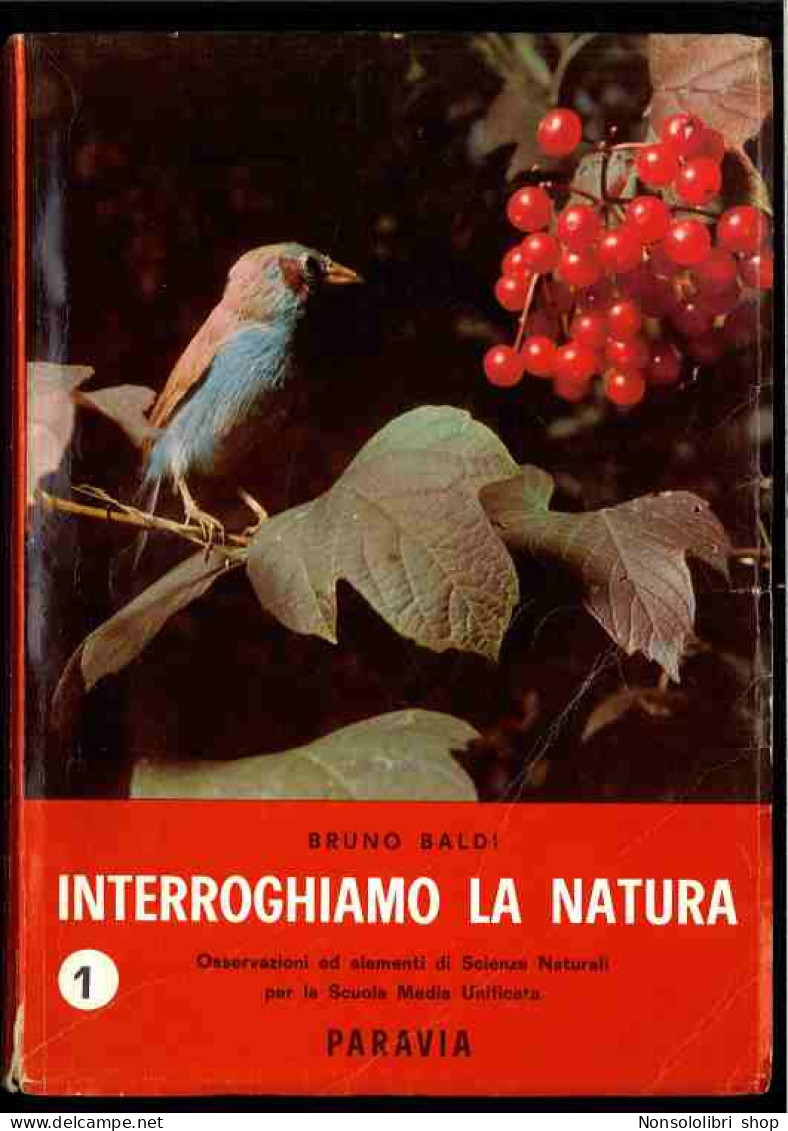 Interroghiamo La Natura Vol.1 Di Baldi Bruno - Other & Unclassified