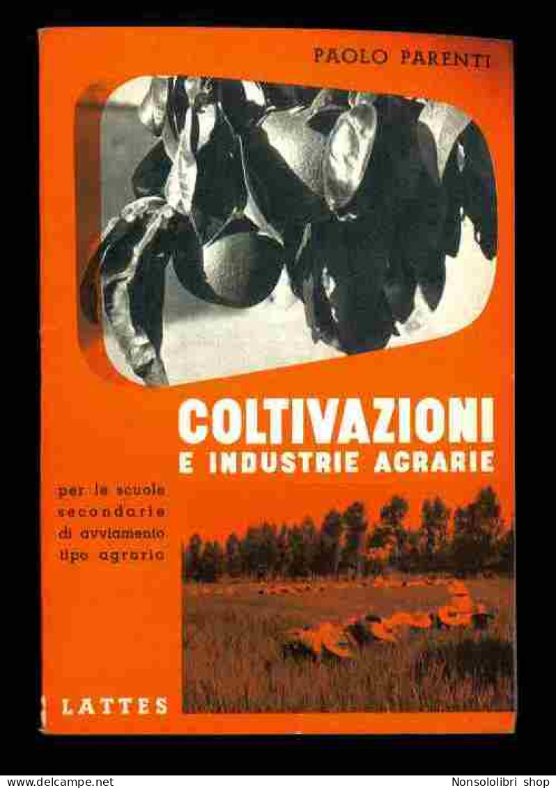 Coltivazioni E Industrie Agrarie Di Parenti Paolo - Other & Unclassified