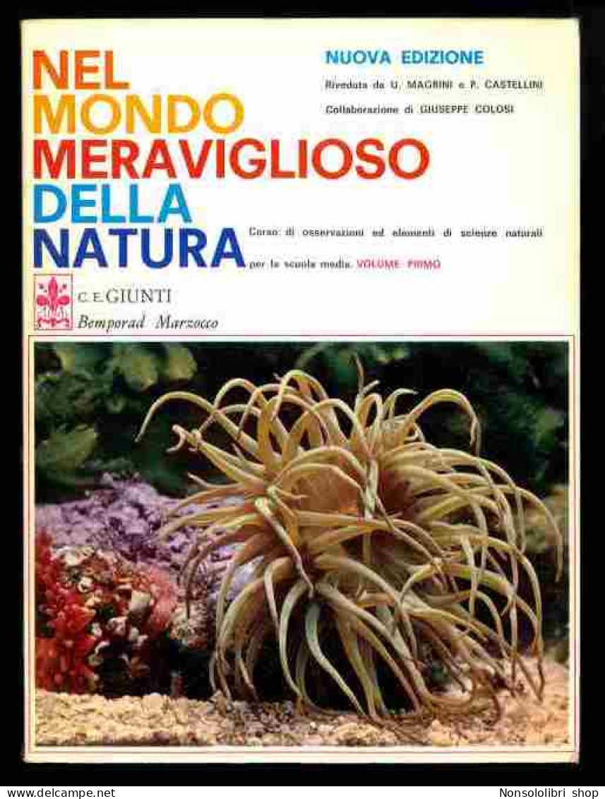 Nel Mondo Meraviglioso Della Natura Vol.1 - Otros & Sin Clasificación