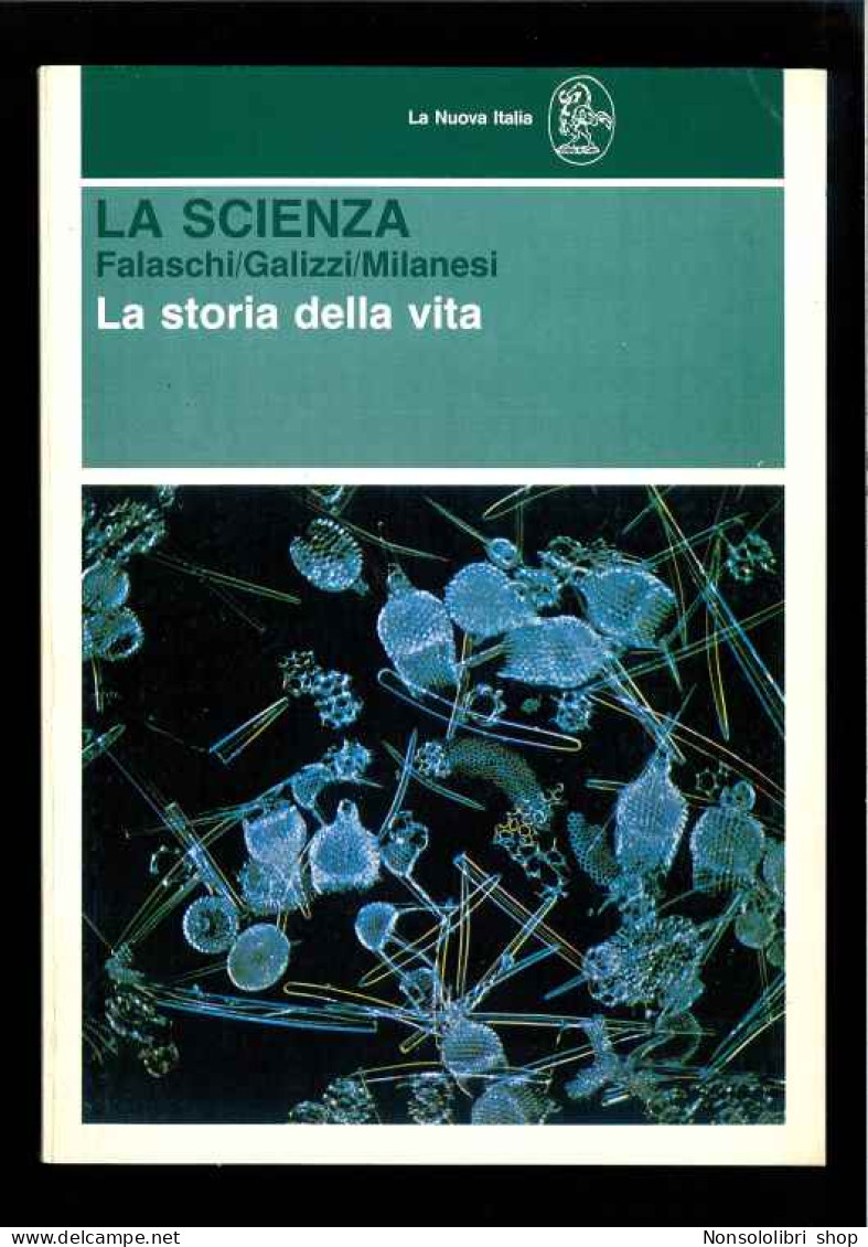 La Scienza Di Falaschi - Milanesi - Autres & Non Classés