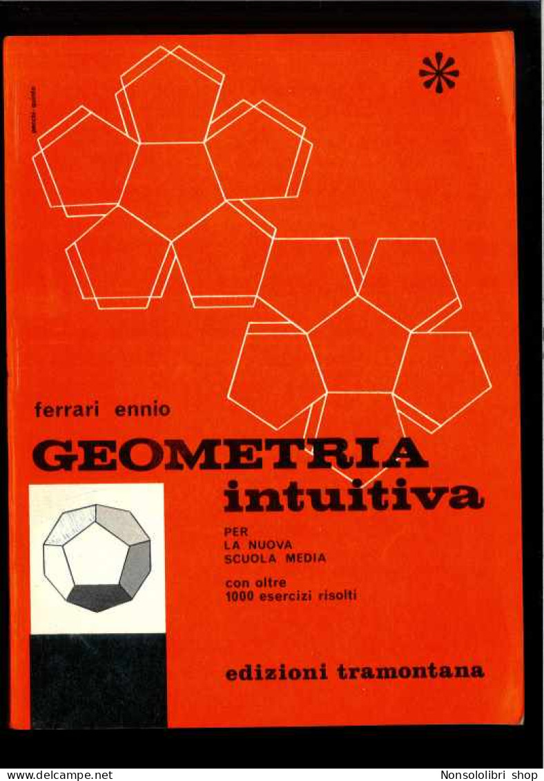 Geometria Intuitiva Di Ferrari Ennio - Altri & Non Classificati