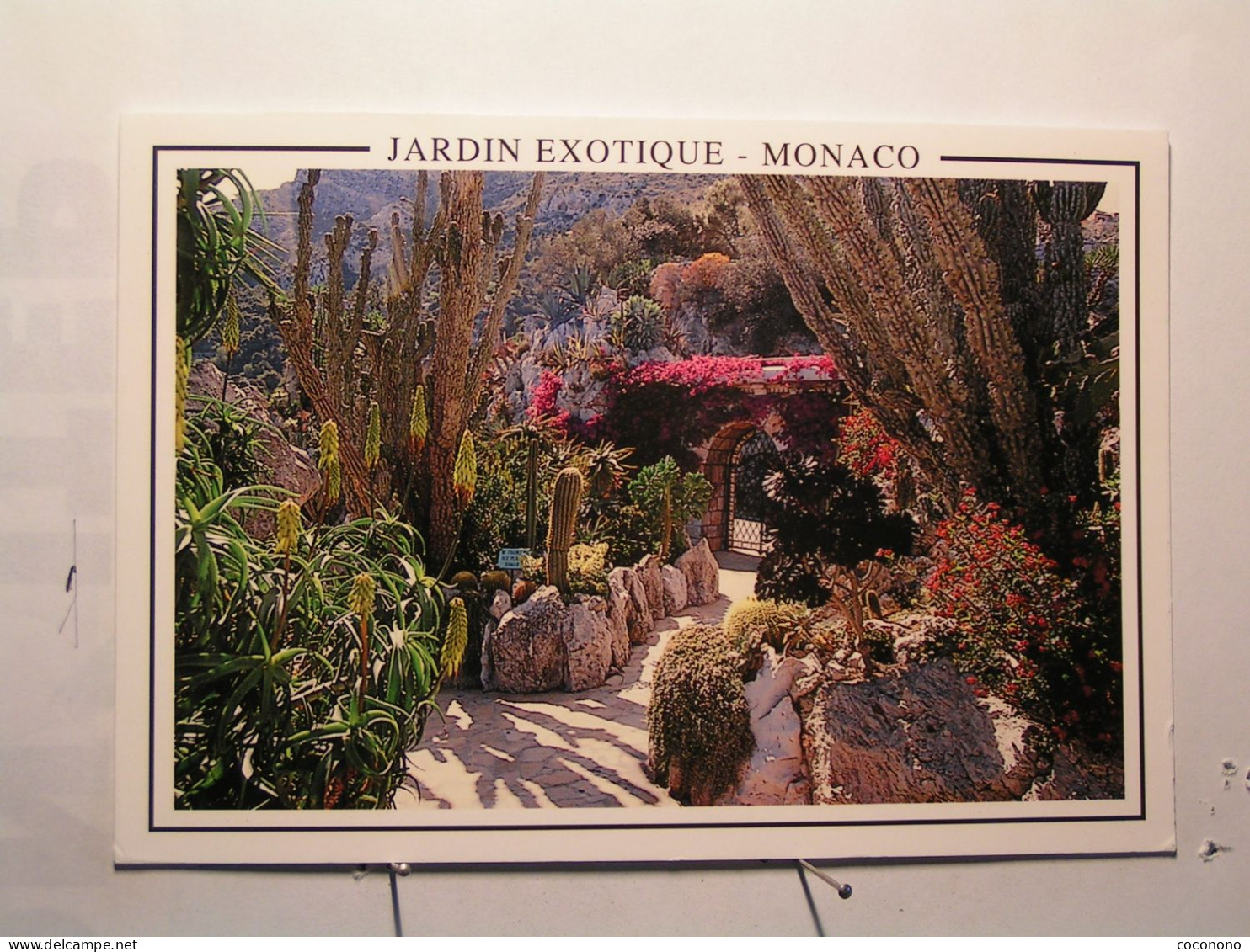 Monaco - Le Jardin Exotique - Jardin Exotique