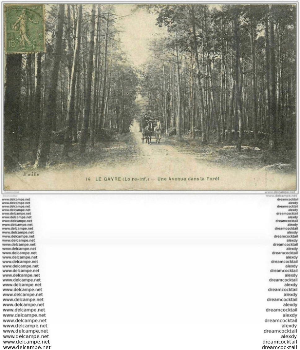 44 LE GAVRE. Attelage Avenue Dans La Forêt 1922 - Le Gavre