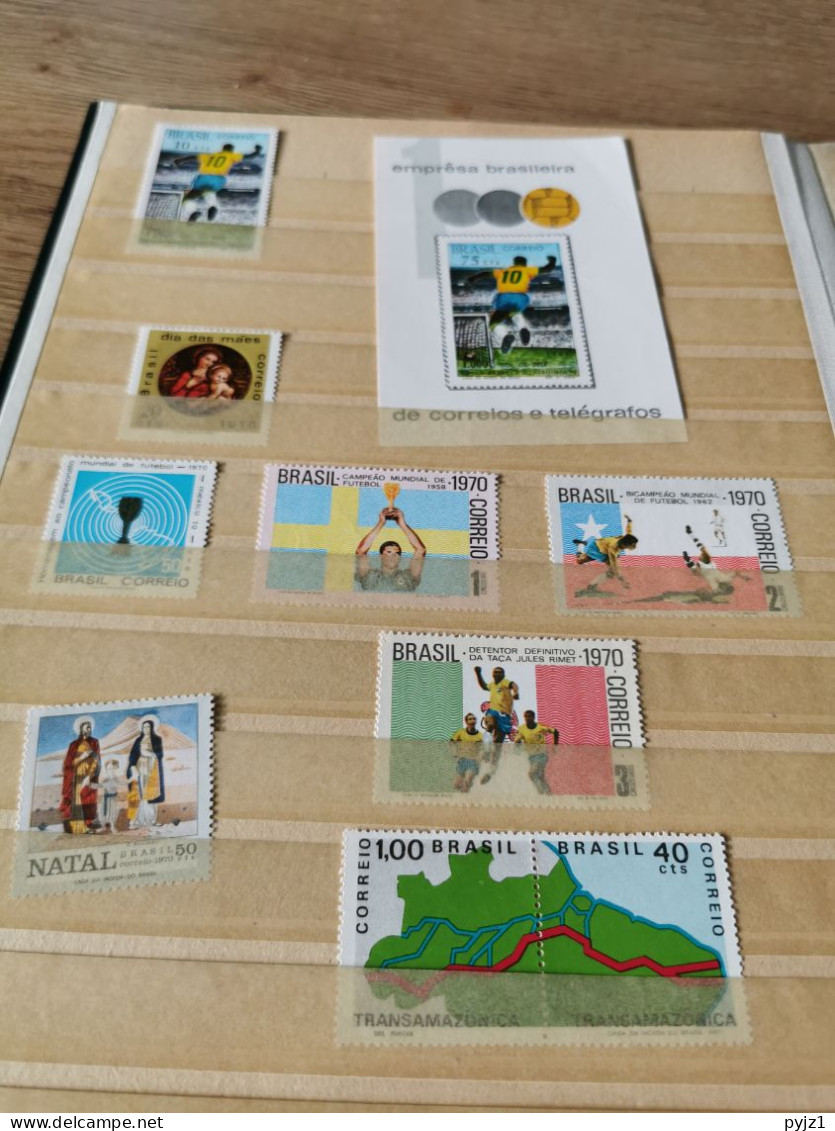 Brasilia In Stockbook MNH Postfris ** - Sammlungen (im Alben)