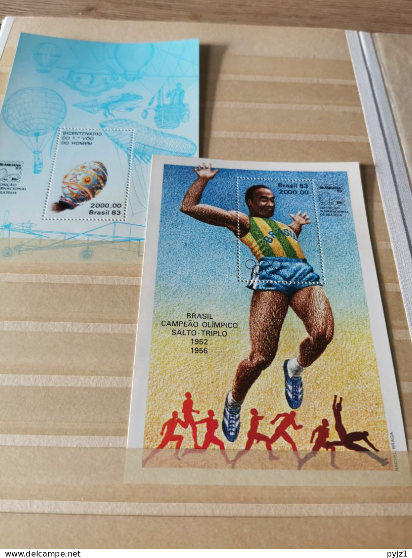 Brasilia in stockbook MNH postfris **