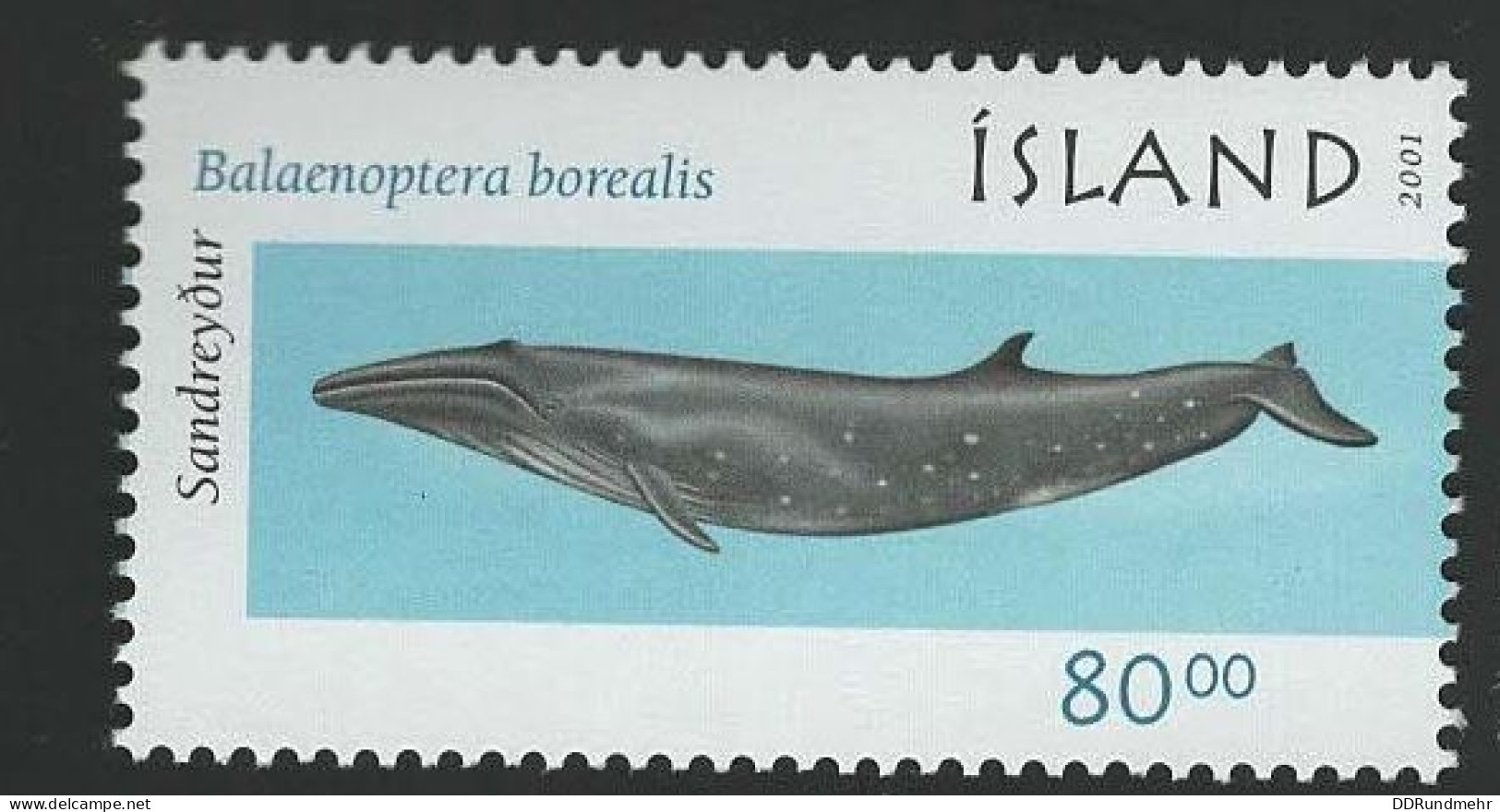 2001 Sei Whale Michel IS 991 Stamp Number IS 947 Yvert Et Tellier IS 919 Stanley Gibbons IS 1002 Xx MNH - Ungebraucht