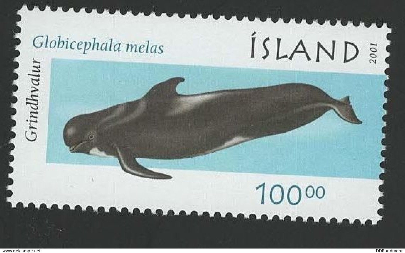 2001 Pilot Whale  Michel IS 992 Stamp Number IS 948 Yvert Et Tellier IS 920 Stanley Gibbons IS 1003 Xx MNH - Ungebraucht