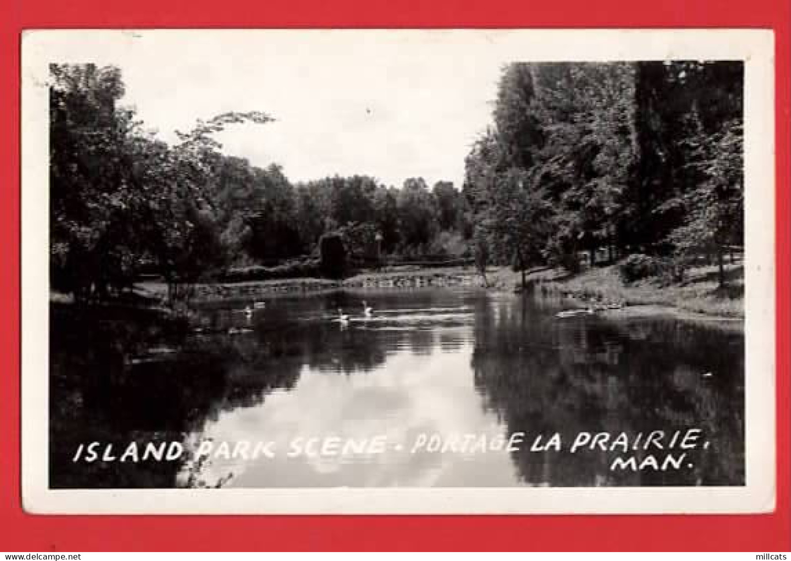 CANADA MANITOBA ISLAND PARK SCENE PORTAGE LA PRAIRIE   RP - Autres & Non Classés