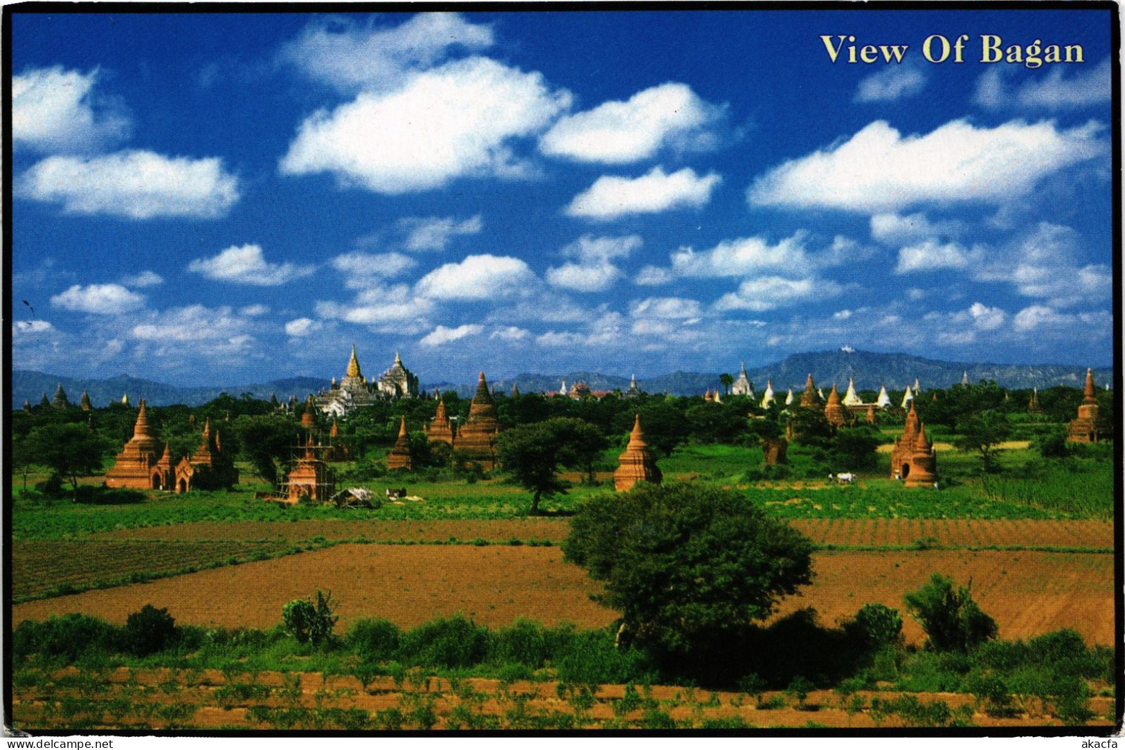 CPM Burma Bagan MYANMAR (1182847) - Myanmar (Burma)