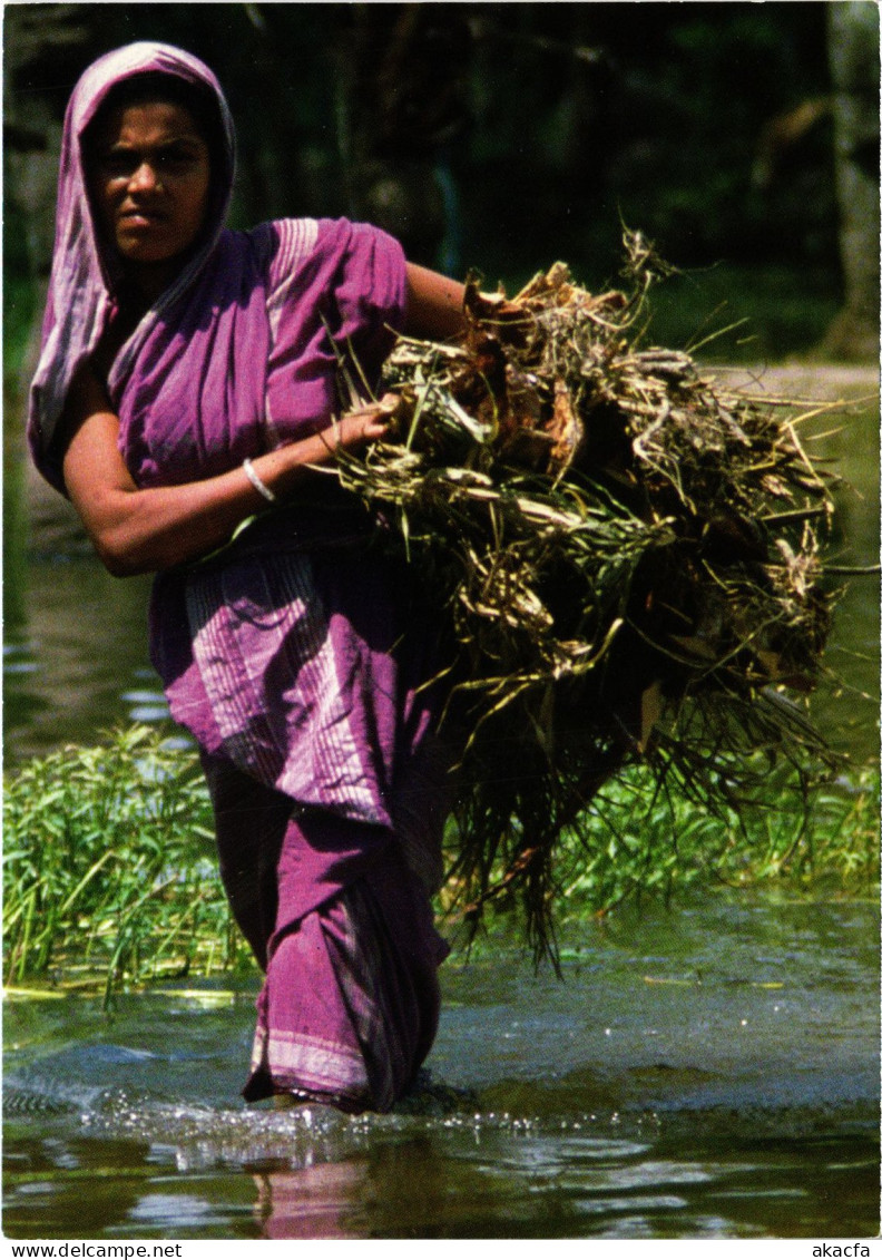 CPM Khulna Woman BANGLADESH (1182991) - Bangladesch