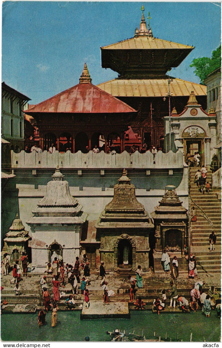 CPM Kathmandu Temple Od Pasupati Nath NEPAL (1183187) - Népal