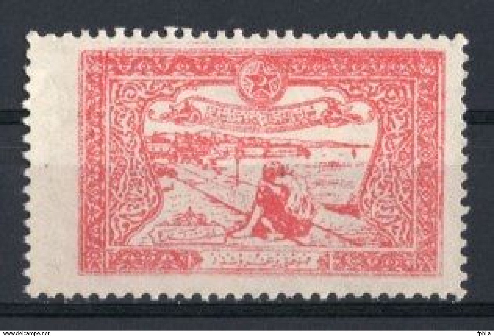 1923 TURKEY STAMP IN AID OF THE TURKISH SOCIETY FOR THE PROTECTION OF CHILDREN MINT WITHOUT GUM - Liefdadigheid Zegels