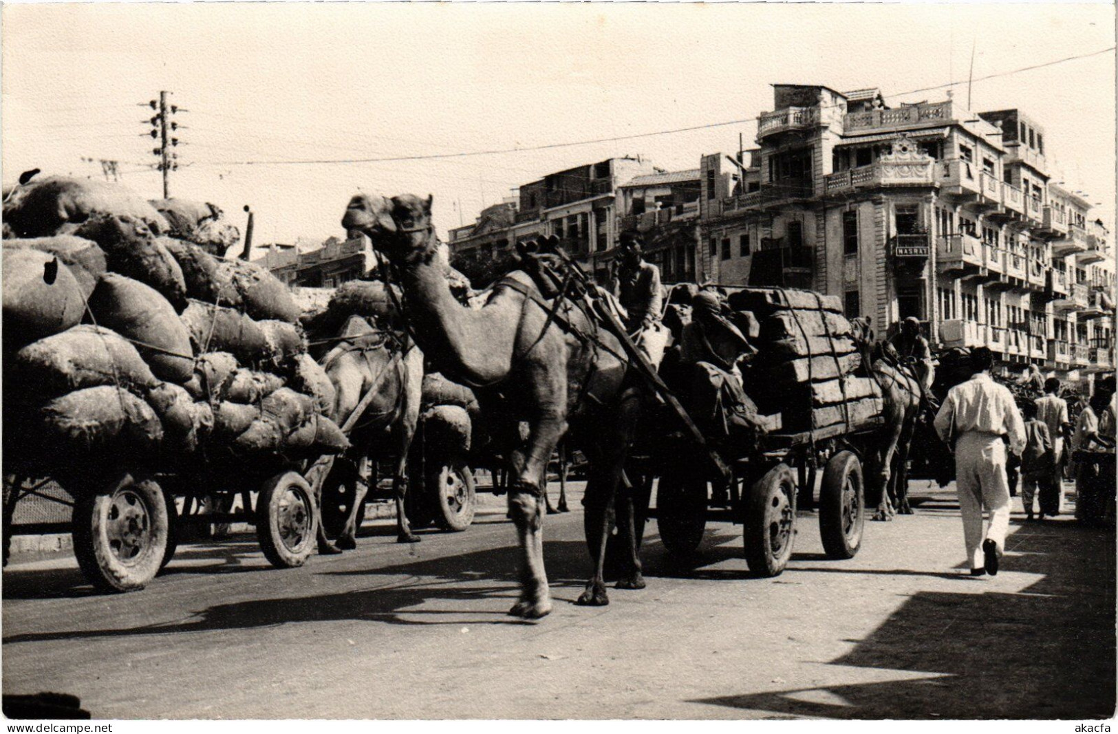 PC PAKISTAN KARACHI CAMEL CART REAL PHOTO POSTCARD (a50215) - Pakistan