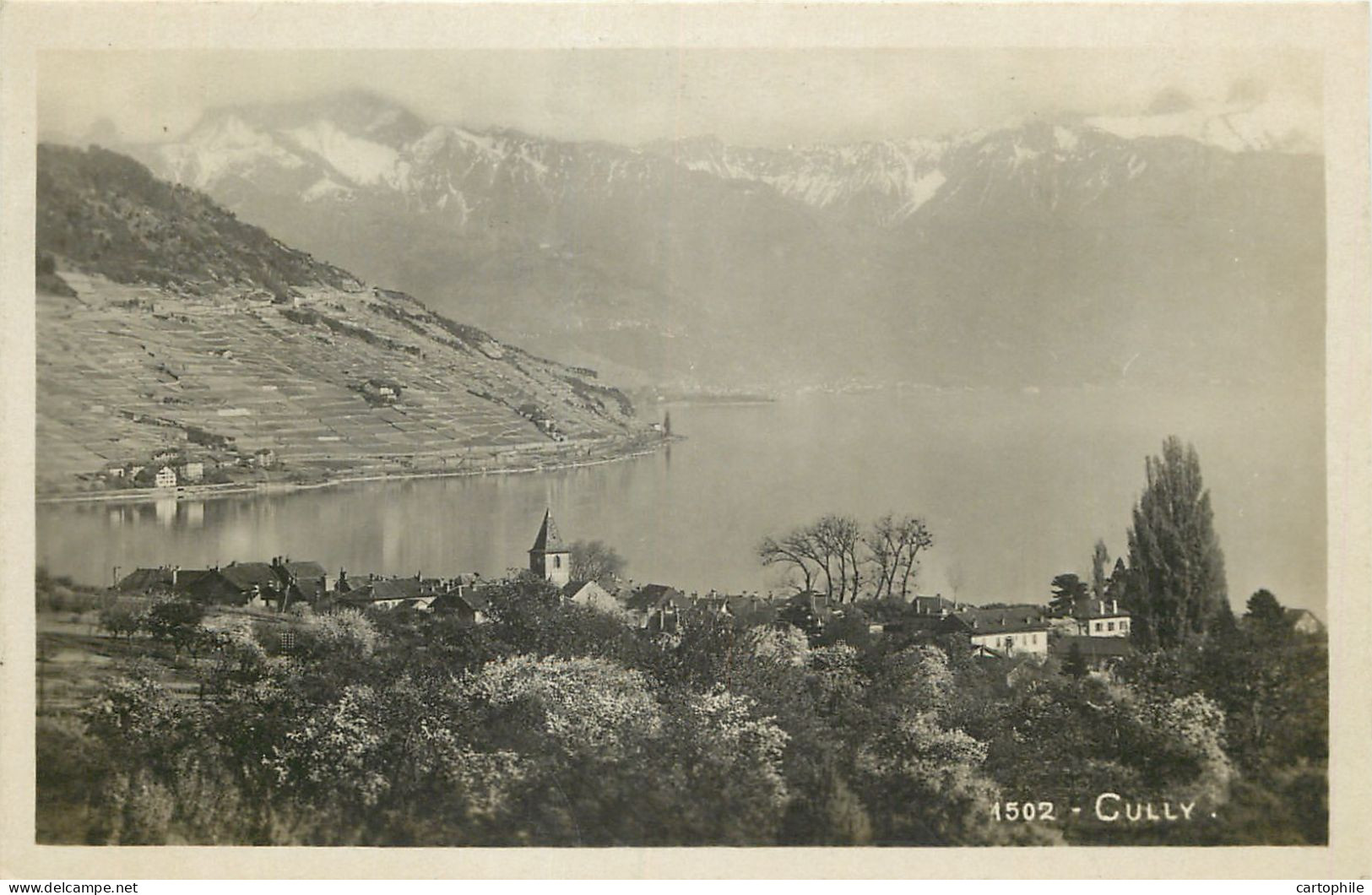 Suisse - Cully - Vue Géniale - Cully