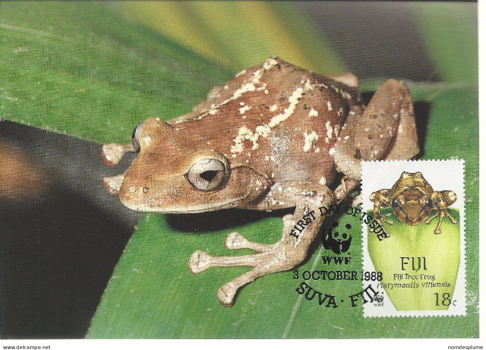 26082 ) Fiji WWF 1988 Frog Maxi Postcard Cover - Fidji (1970-...)