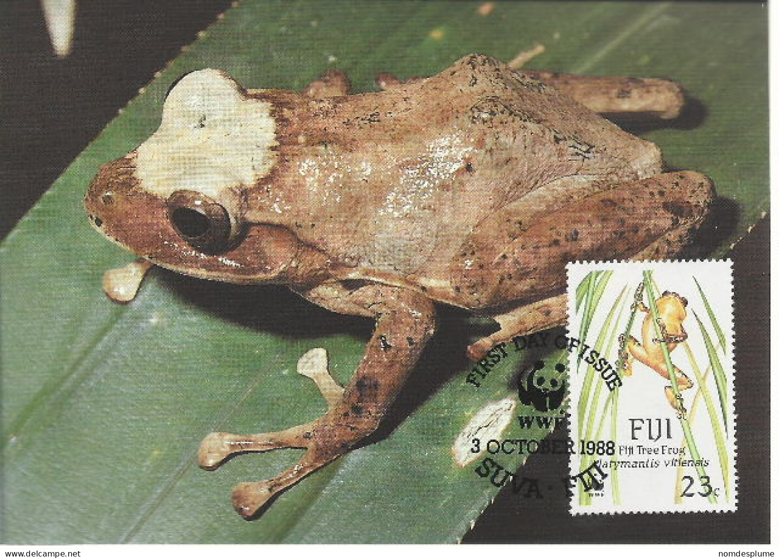 26083 ) Fiji WWF 1988 Frog Maxi Postcard Cover - Fidji (1970-...)