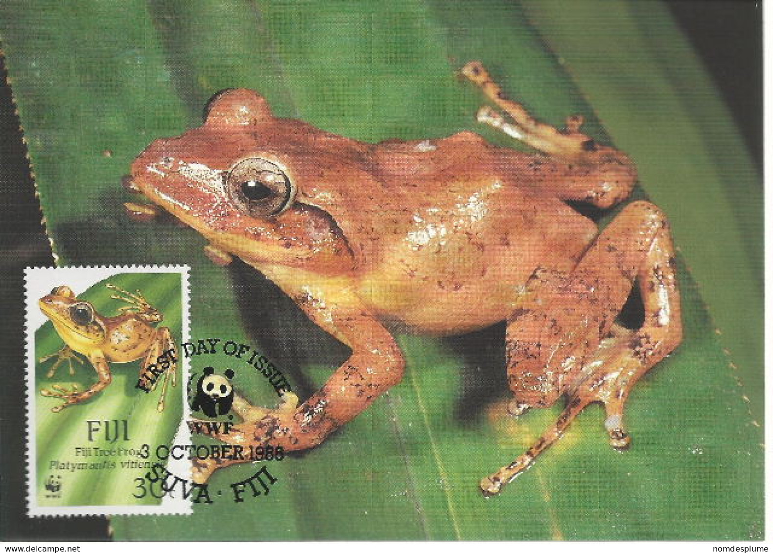 26084 ) Fiji WWF 1988 Frog Maxi Postcard Cover - Fidji (1970-...)