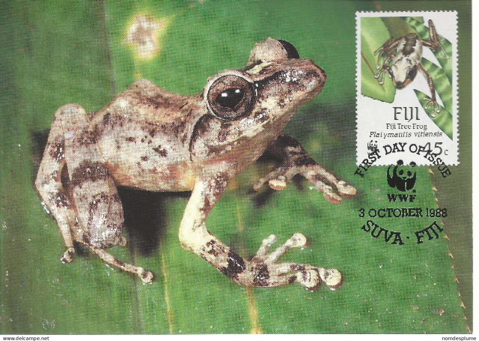26085 ) Fiji WWF 1988 Frog Maxi Postcard Cover - Fidji (1970-...)