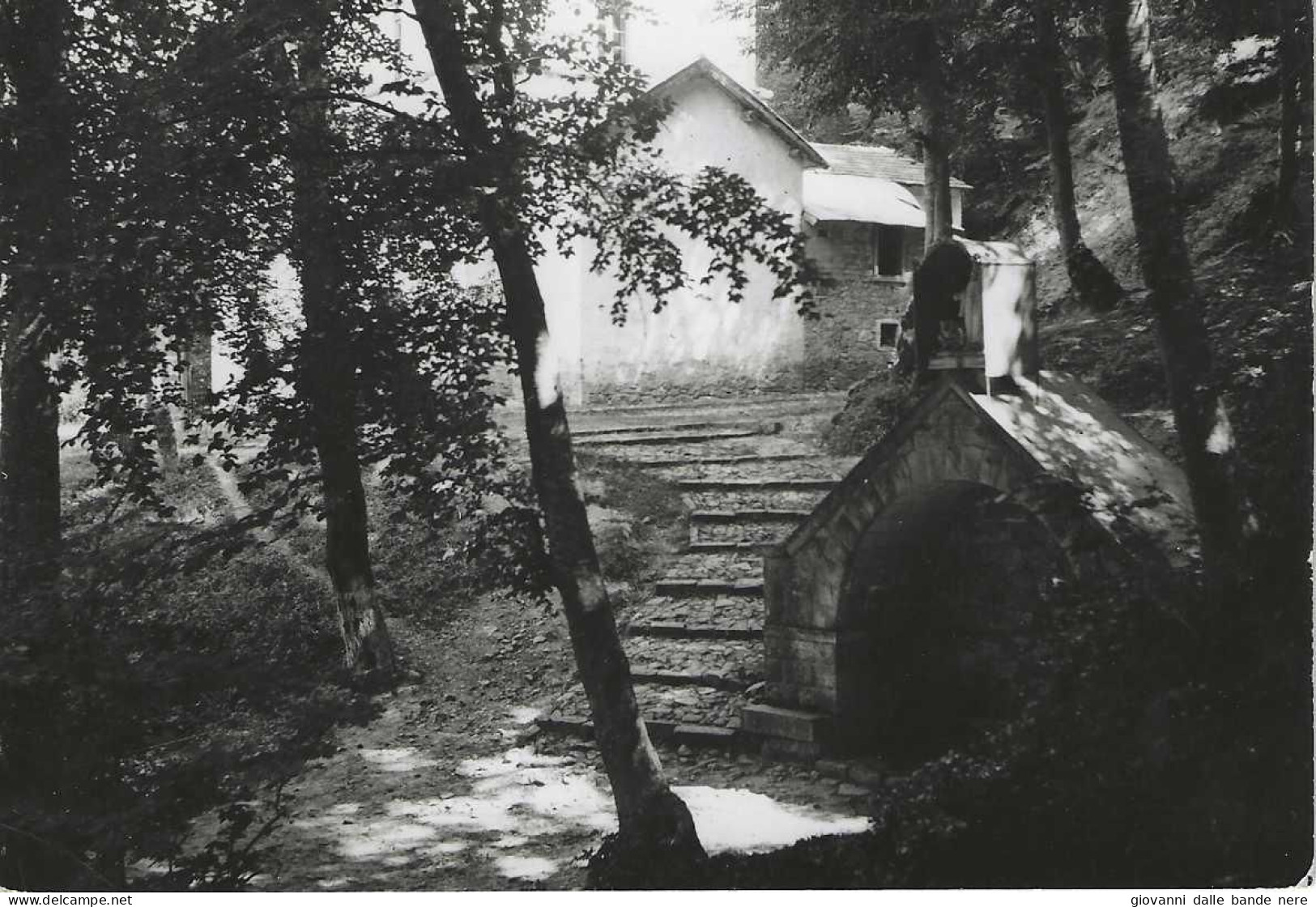 San Pietro Avellana - Fontana Di San Amico Nel Bosco Omonimo - H6378 - Isernia