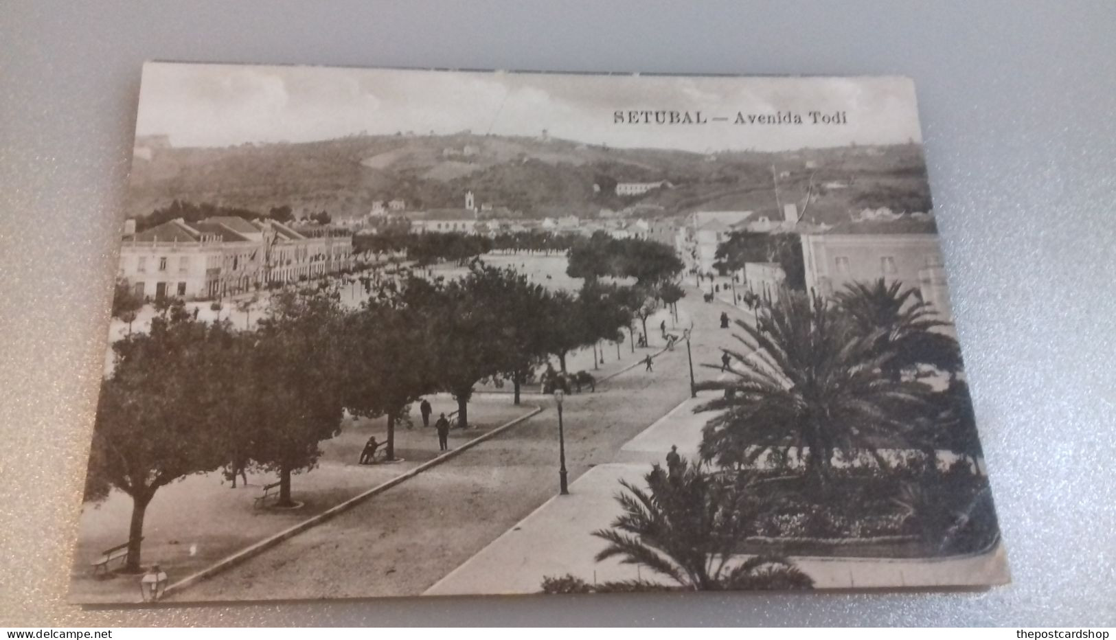 PORTUGAL SETUBAL - Avenida Todi (poente)( Ed. Alberto Malva ) UNUSED - Setúbal