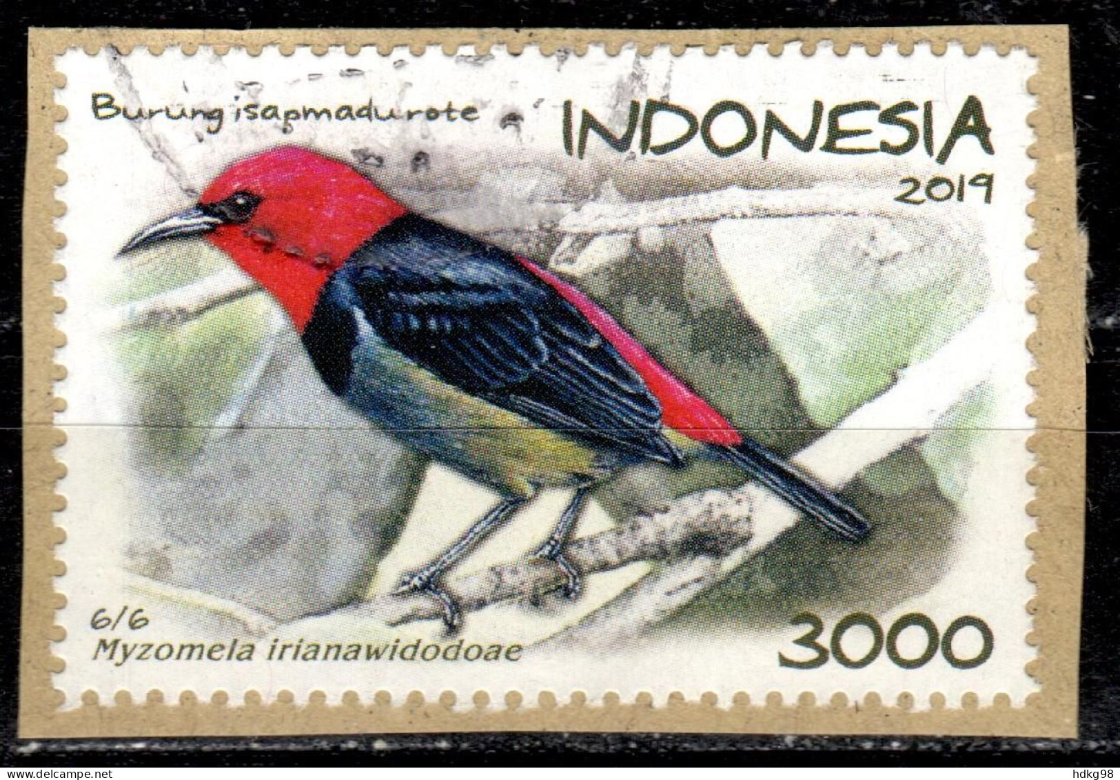 RI+ Indonesien 2019 Mi 3502 Vogel - Indonésie