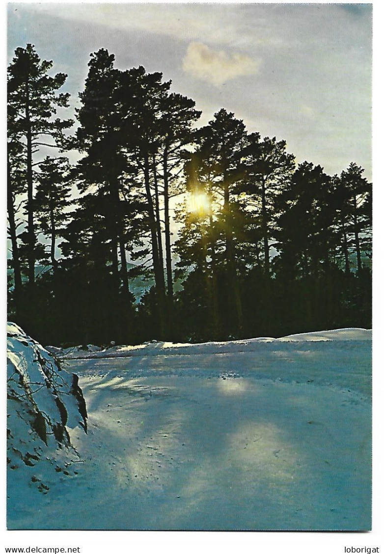 PUESTA DE SOLA / SUNSET / COUCHER DU SOLEIL.- VIRGEN DE LA VEGA.- TERUEL.- (ESPAÑA ). - Teruel