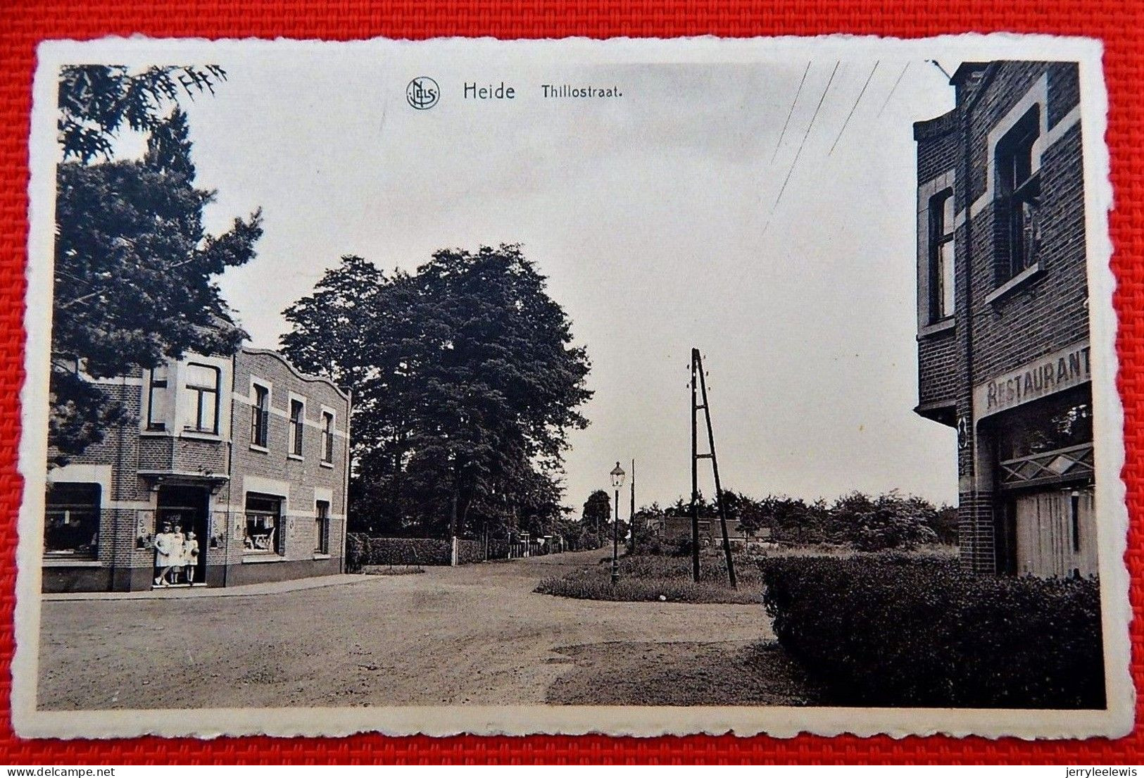 KALMTHOUT -  Kapellensteenweg - Kalmthout