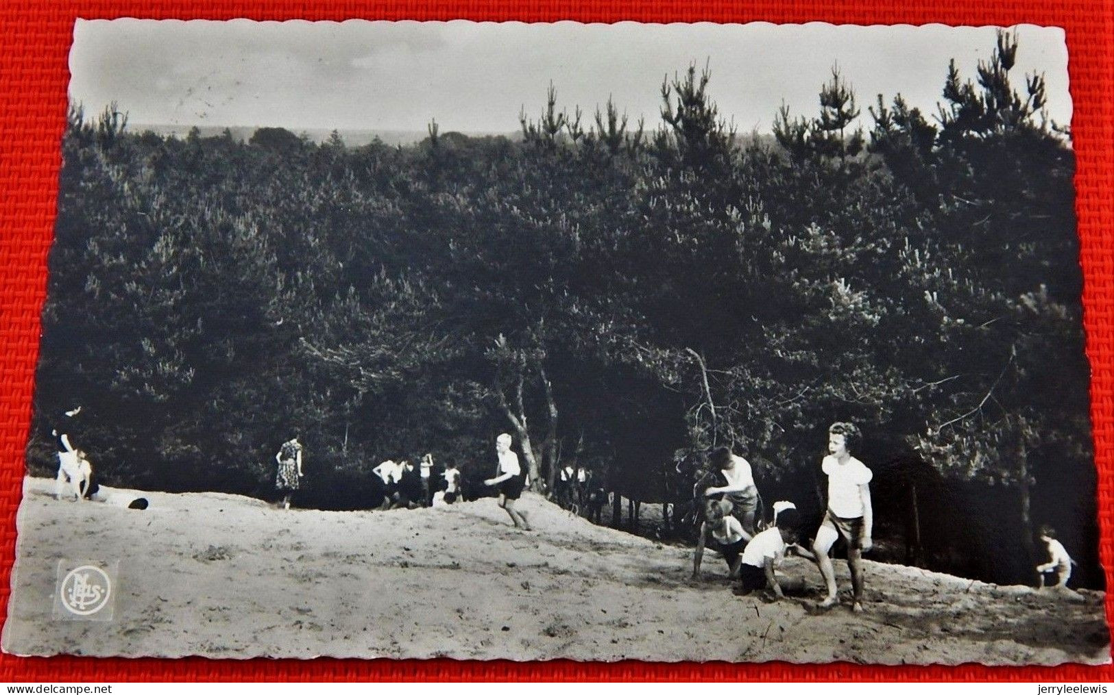 OPOETEREN  - Onze Lieve Vrouw Berg - Maaseik