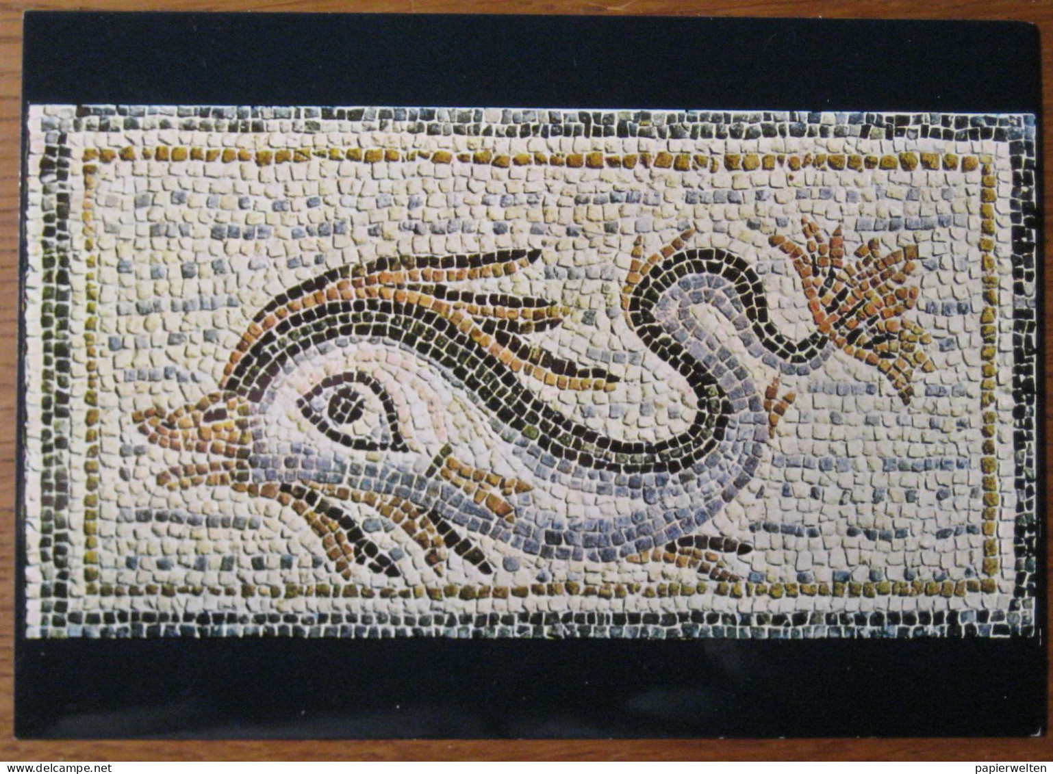 Avenches (VD) - Aventicum: Dauphin - Fragment D'une Mosaique Romaine / Teil Eines Römischen Mosaiks (Delphin) - Avenches