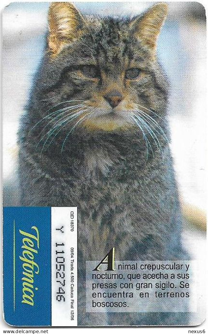 Spain - Telefonica - Fauna Iberica - Gato Montes Cat - P-557 - 09.2004, 4.500ex, Used - Emissions Privées