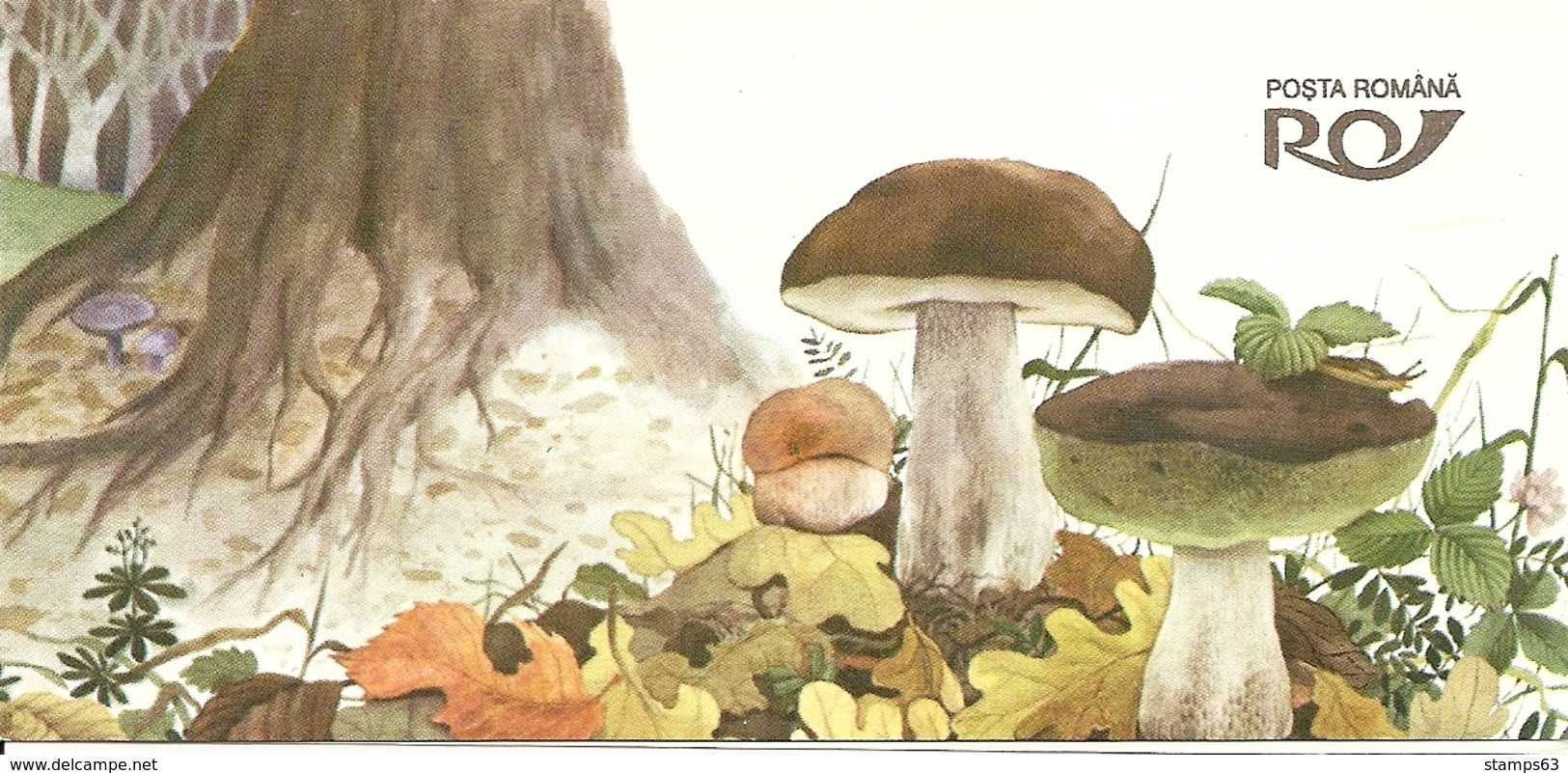 ROMANIA, 1994, Booklet 11, Mushrooms - Postzegelboekjes