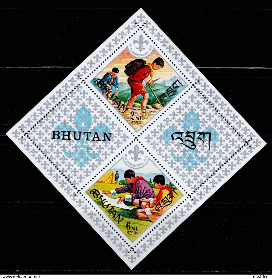 BHU-06- BHUTAN - 1972 - MNH -SCOUTS- - Bhoutan