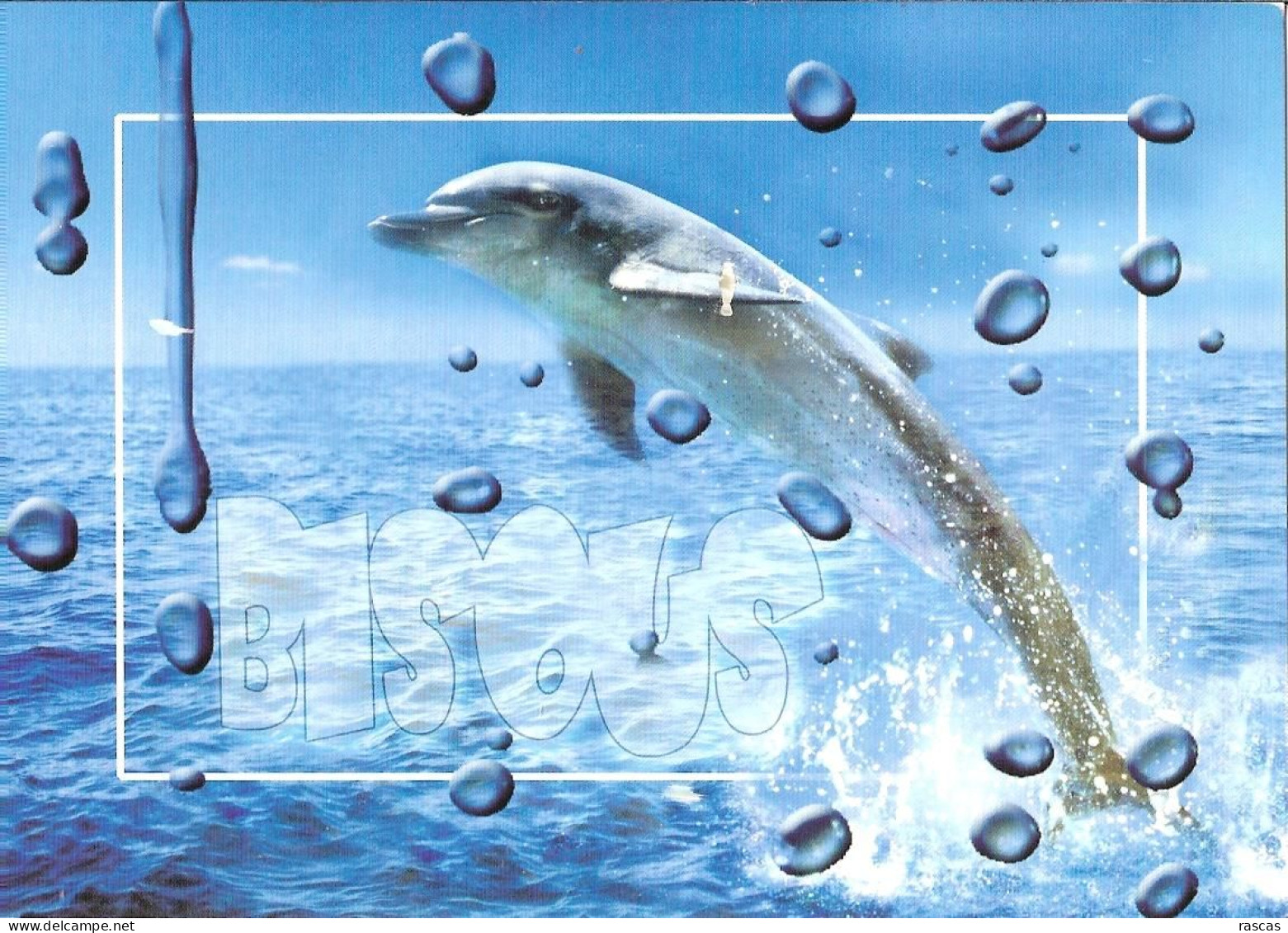 CPM - BISOUS DE VENDEE - DAUPHIN - Dolphins