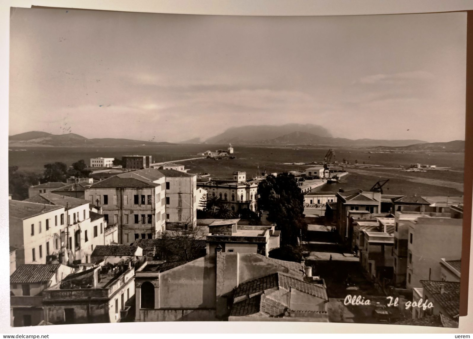 SARDEGNA SASSARI OLBIA IL GOLFO  Formato Grande Viaggiata 1958 Vera Fotografia Condizioni Buone - Olbia