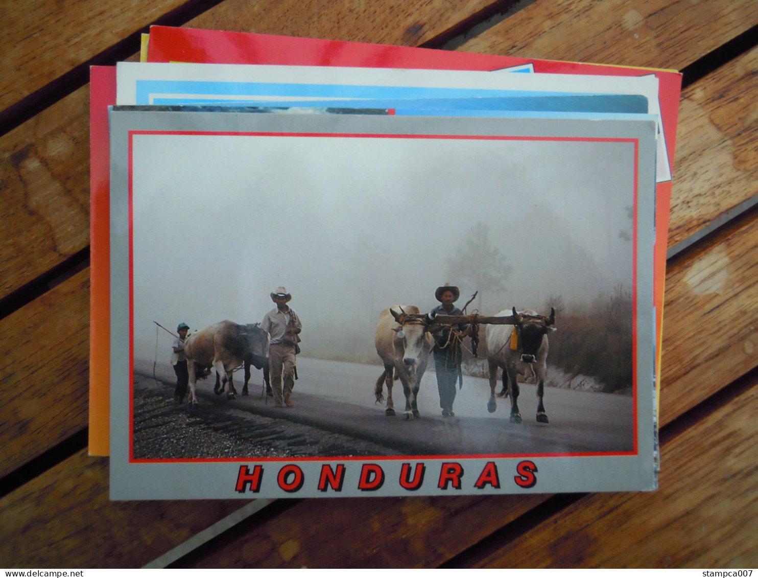 HONDURAS Cow Vache Koe  Used Circulé Gelopen - Honduras