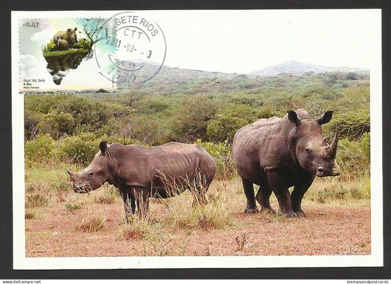 Portugal Environnement Rhinocéros Carte Maximum 2011 Portugal Environment Rhino Maxicard 2011 - Rhinocéros
