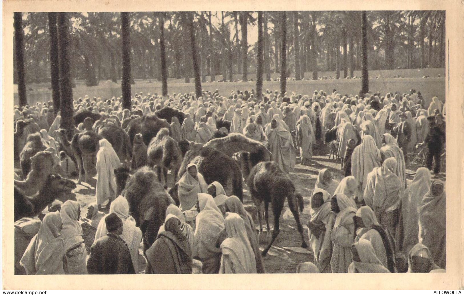 24938 " SUK EL GIUMA-MERCATO DEI CAMMELLI-FOTO DI A. BRUNI " ANIMATA-VERA FOTO-CART. NON SPED. - Libia