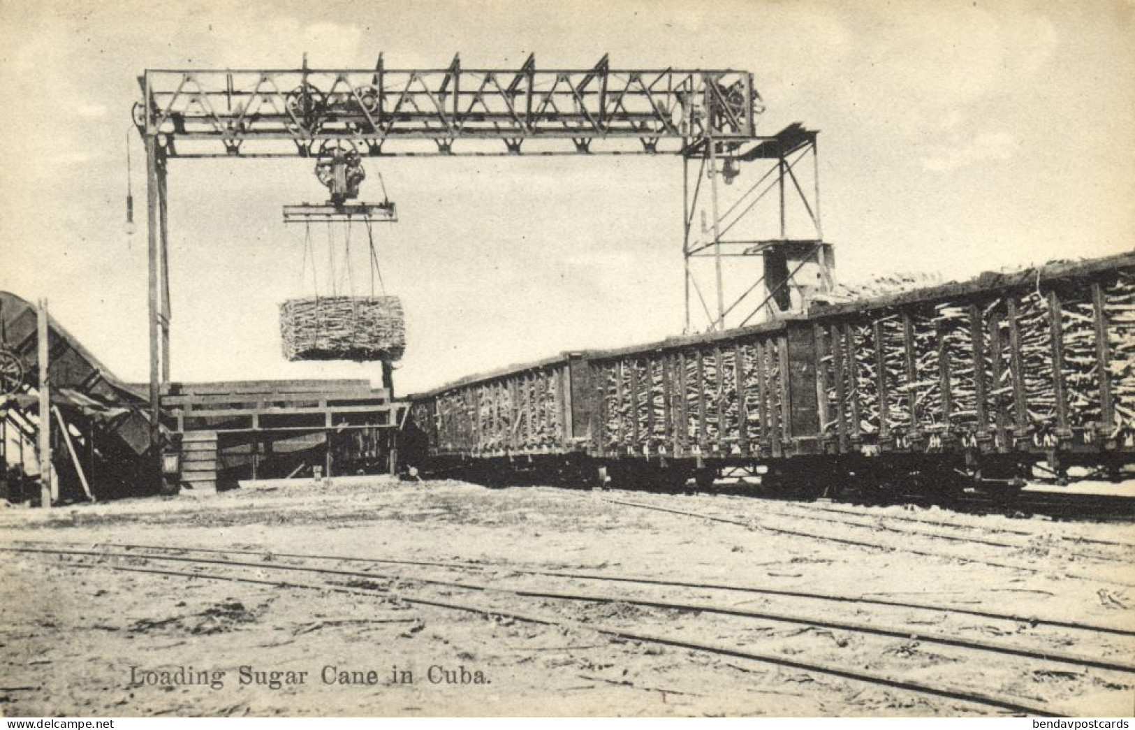 Cuba, Loading Sugar Cane (1910s) Postcard - Cuba