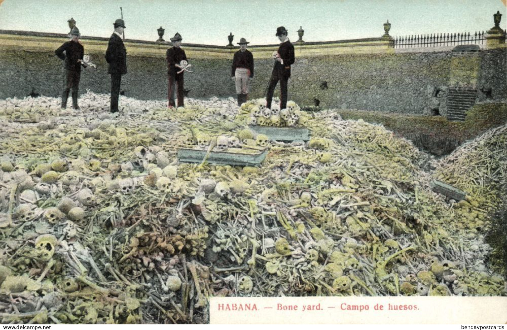 Cuba, HAVANA, Bone Yard, Campo De Huesos (1910s) Postcard - Cuba