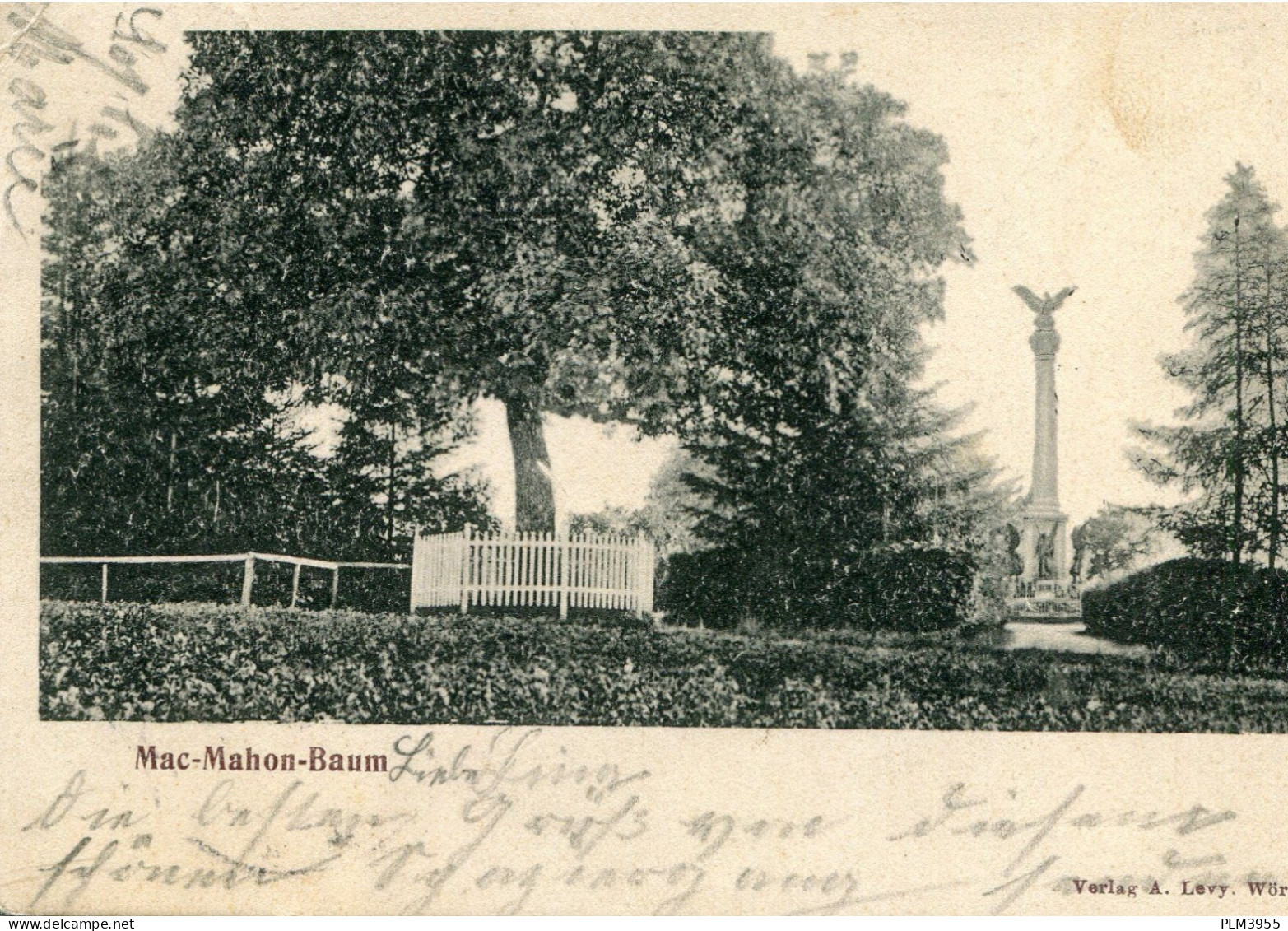 67 - WORTH - 2 Cartes Allemagne - L'arbre De Mac Mahon - La Broque