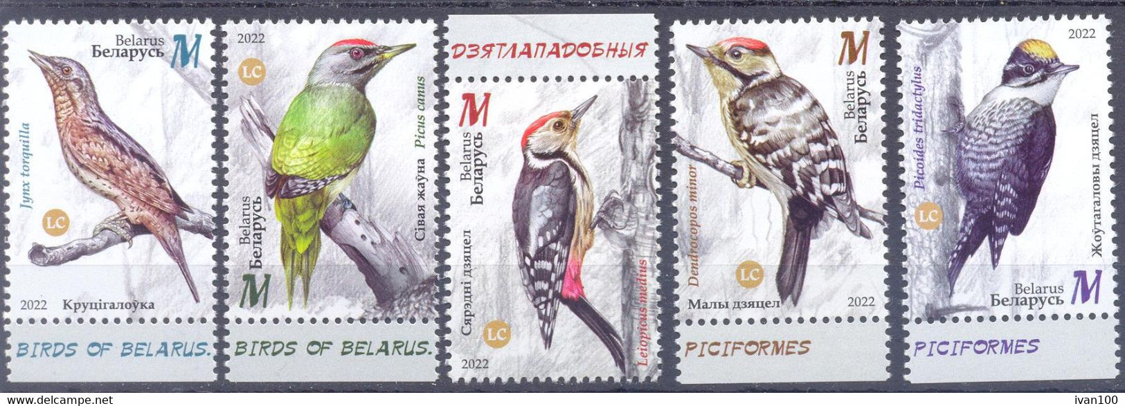 2022. Belarus, Birds Of Belarus, Piciformes, 5v, Mint/** - Belarus