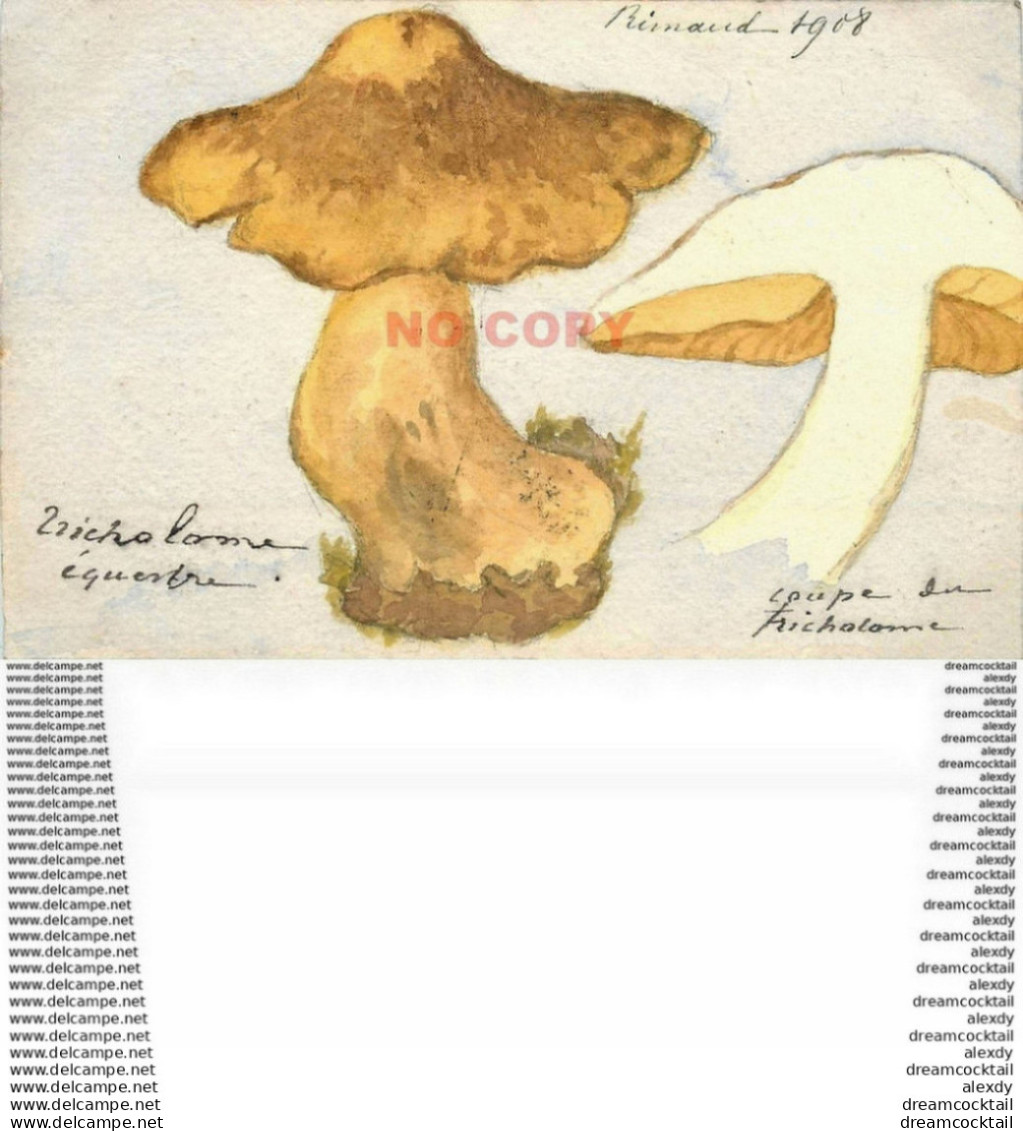 WW CHAMPIGNONS. Le Tricholome équestre Ou Canari 1908. Peint à La Main Par Rimaud Sur Papier De Qualité - Pilze