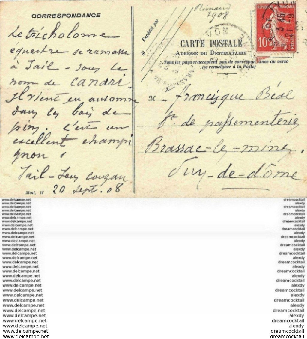 WW CHAMPIGNONS. Le Tricholome équestre Ou Canari 1908. Peint à La Main Par Rimaud Sur Papier De Qualité - Mushrooms