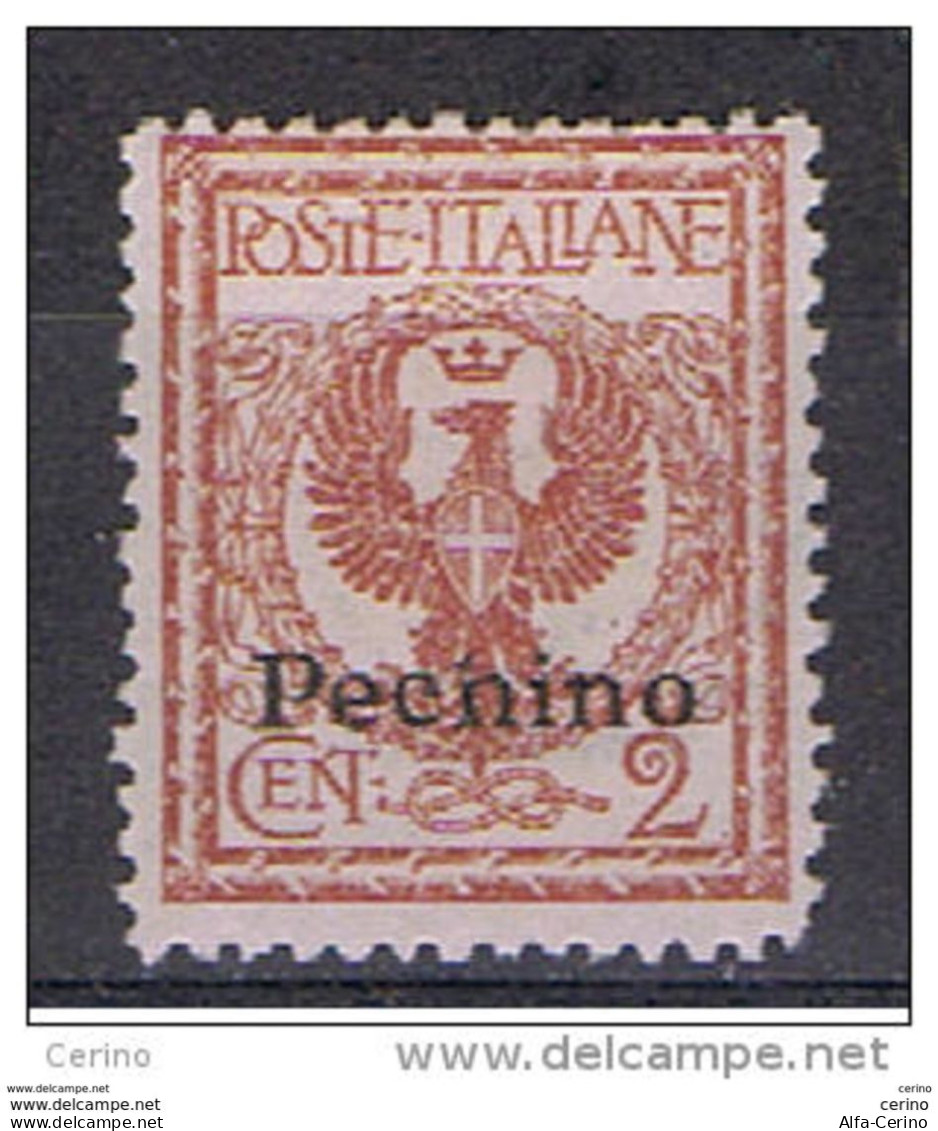 PECHINO:  1917/18  SOPRASTAMPATO  -  2 C. ROSSO  BRUNO  L. -  SASS. 9 - Pékin