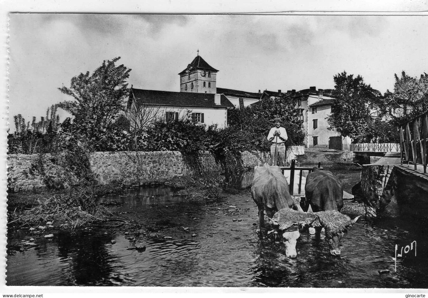 Espelette Attelage Basque - Espelette