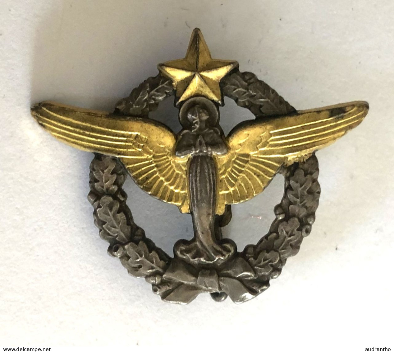 Insigne Armée De L'air Française Pélerinage Militaire De Lourdes Arthus Bertrand - Airforce