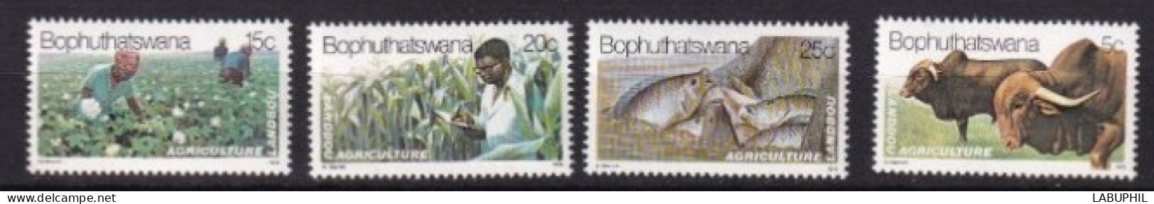 BOPHUYHATSWANA MNH 1979 Agriculture - Bofutatsuana